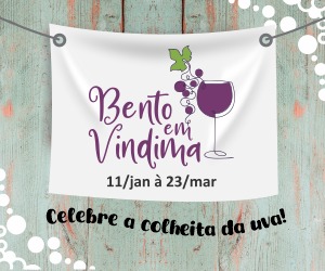 vindima-2025-serra-em-pauta---banner-digital-300x250.jpeg